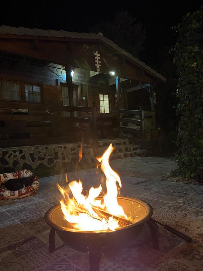 Desconexion Y Paz, Cabana En La Sierra Albalate De Zorita Exterior foto